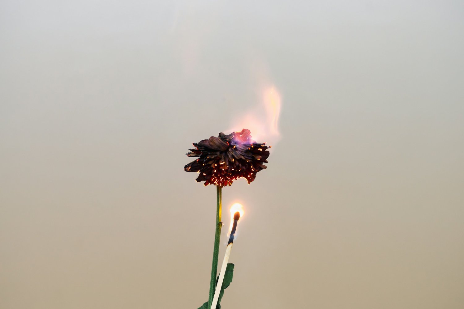 Born of Fire